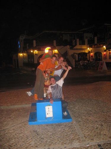 0502 paarden