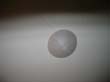 0718 plafond decoratie