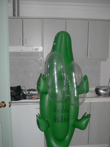 Sjoerd met balonnen