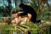 Tarzan.jpg (119130 bytes)