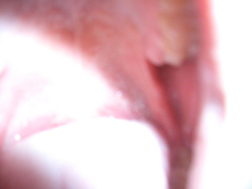CIMG4842